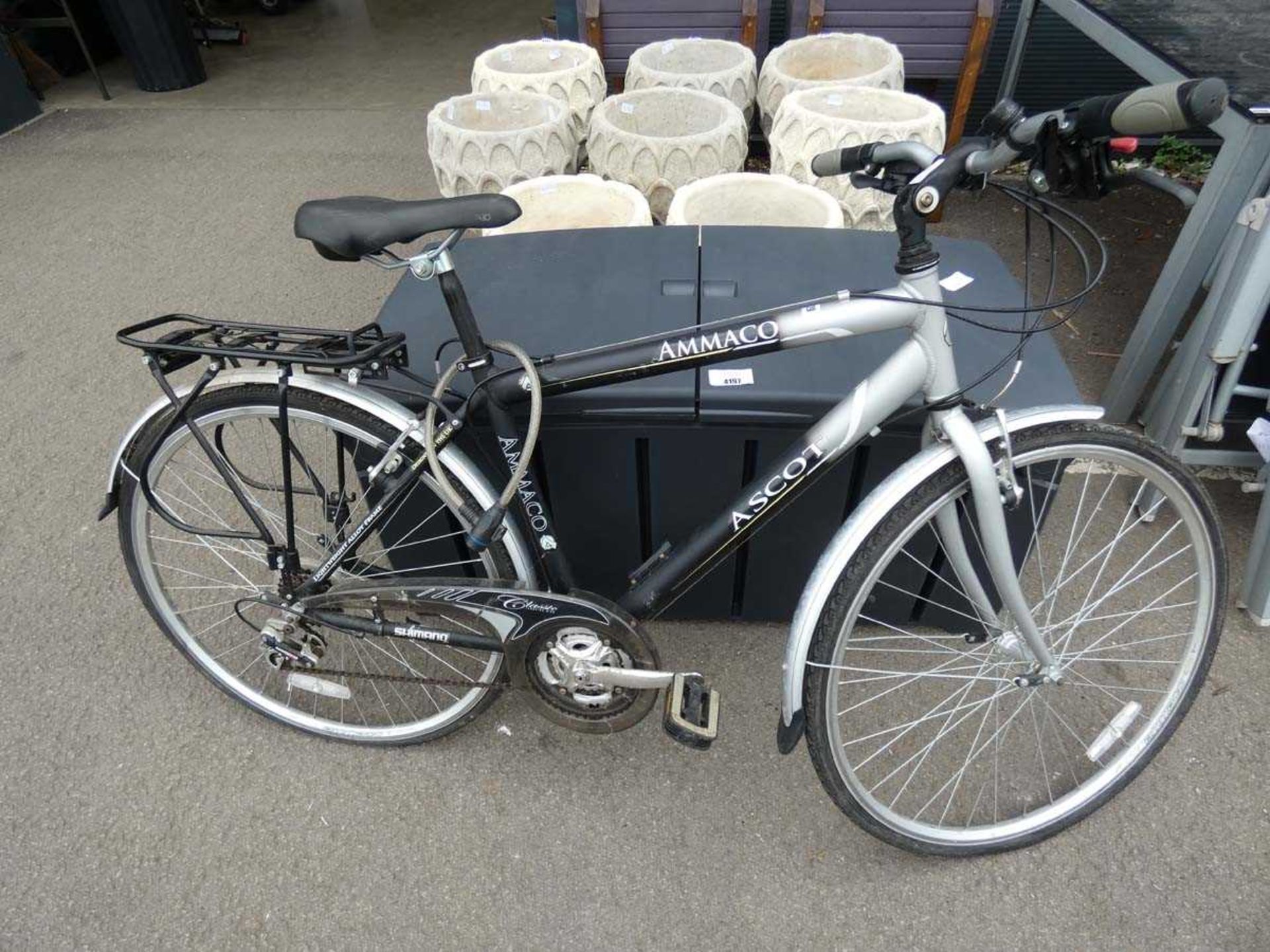 Ammaco Ascot bike in 2 tone silver and black