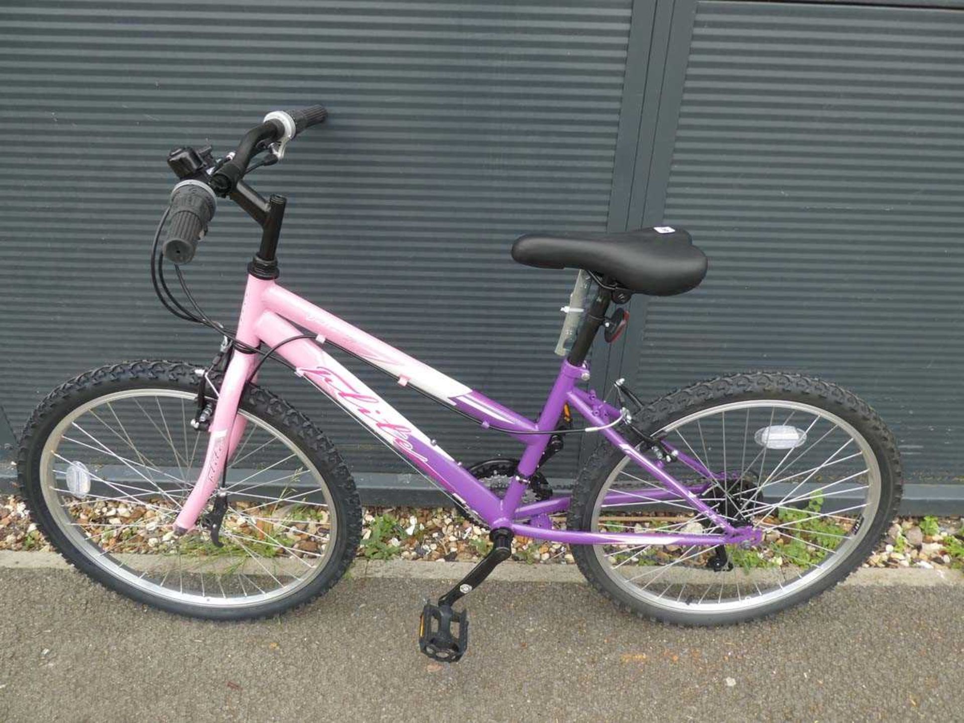 Flite Delta 24 girls cycle in pink and purple