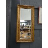 Narrow rectangular bevelled mirror in gilt frame