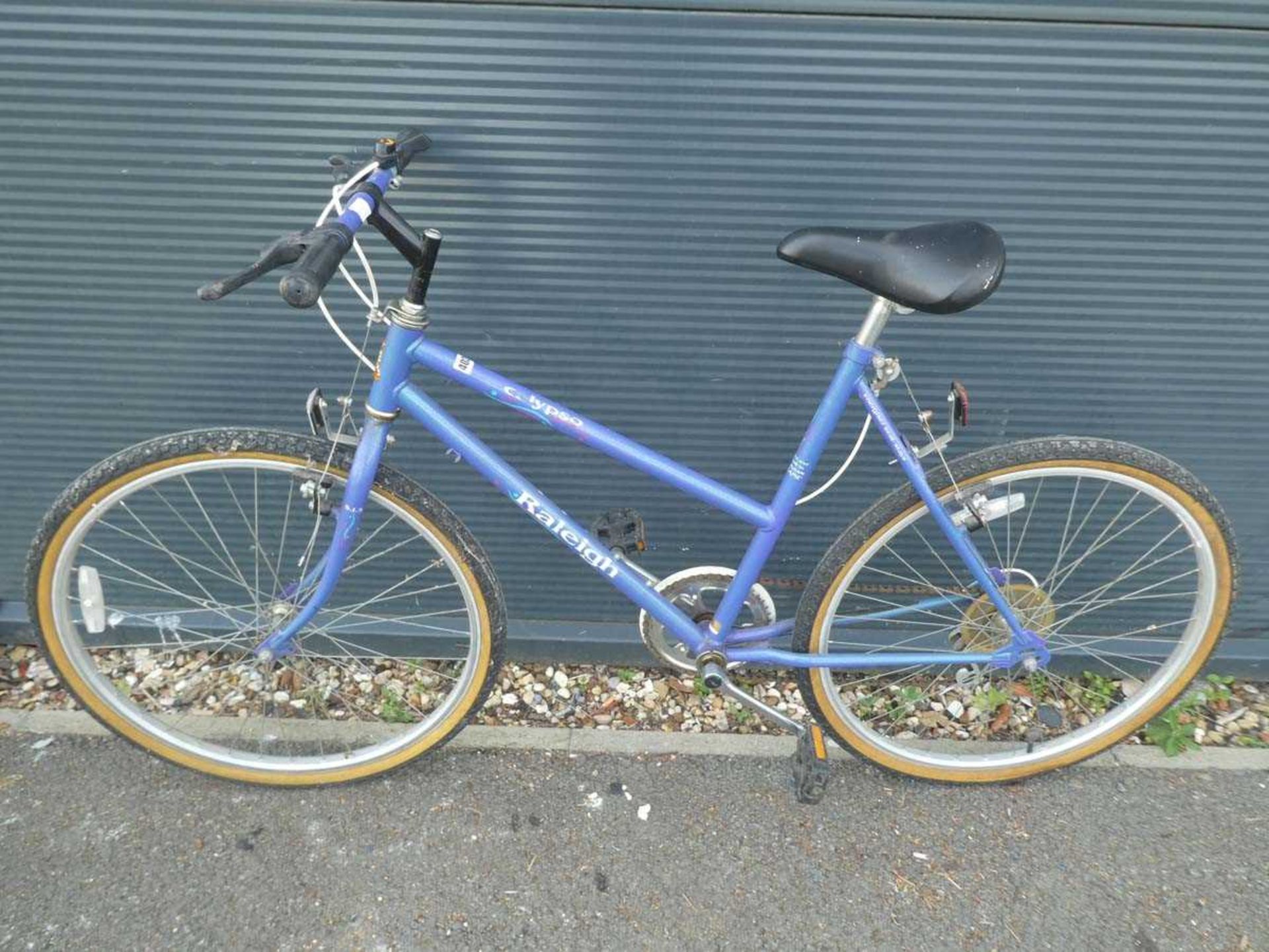 Purple Raleigh girls bike