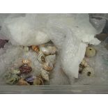 Box containing a seashell collection