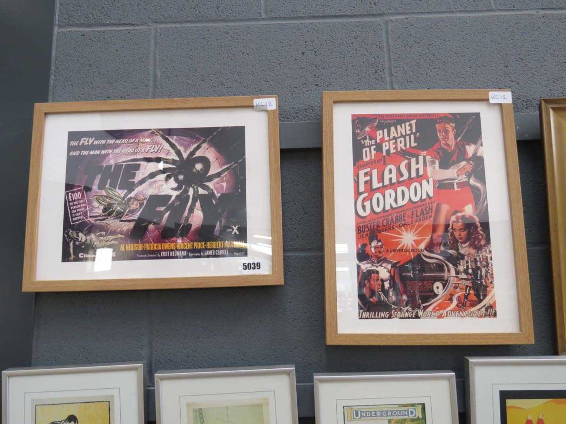 2 movie posters of 'The Fly' and 'Flash Gordan'