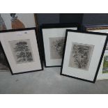 6 framed and glazed engravings of country scenes with cottages, stag and woodland