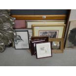 Quantity of assorted pictures to include cats, lions, owls etc