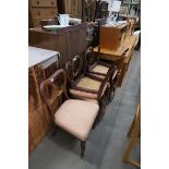 Five Victorian balloon back dining chairs
