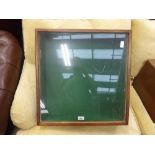Table top display cabinet with sloping surface