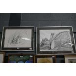 2 x framed and glazed pen and ink pictures