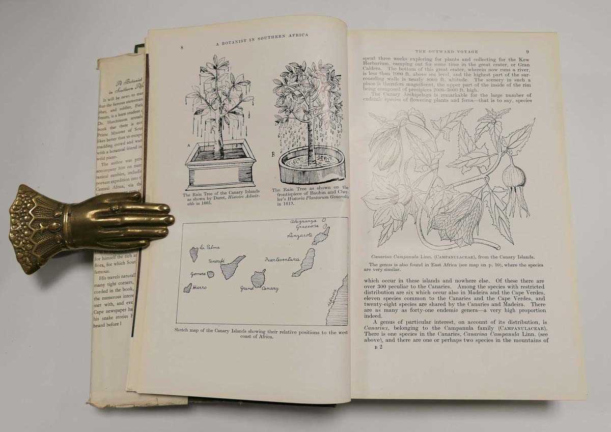 Hutchinson J. : A Botanist in Southern Africa, 1946. 1st. Ed. Royal 8vo Hb + Dj. Colour frontis of - Bild 3 aus 7