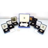 Eight Royal Mint silver proof £1 coins including a 'Heraldic Celebration' example and a silver proof