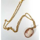 A 9ct yellow gold flat curblink necklace suspending a 9ct cameo pendant, l. 44 cm, 6.5 gms