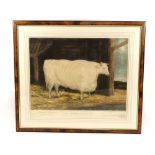 William Ward (1766-1826) after George Garrard (1760-1826),'The Durham White Ox',coloured mezzotint,