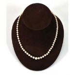 A single strand cultured pearl necklace with 9ct white gold clasp, l. 45 cmPlease see additional