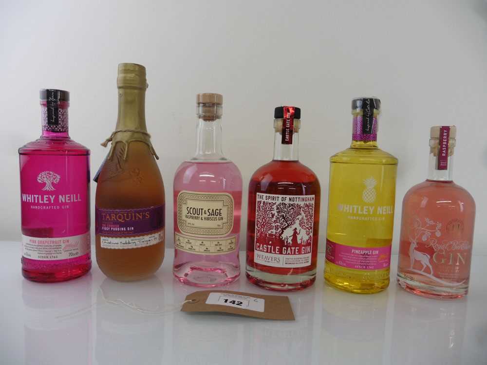 +VAT 6 various bottles of Gin, 1x Weavers Castle Gate Gin with Acorns, Strawberries & Lavender 37.5%