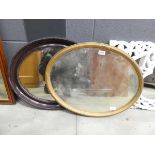 2 oval mirrors in gilt and natural wood frames