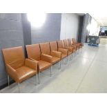 8 x brown leather EOOS for Walter Knoll Jason chairs