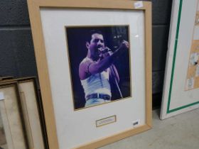 Freddie Mercury photographic print