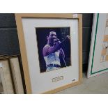 Freddie Mercury photographic print