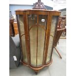 Bow fronted walnut china cabinet
