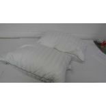 +VAT 2 feather pillows