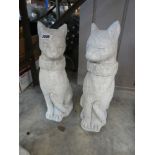 Pair of concrete cats