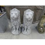 Pair of concrete kneeling lions