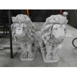 Pair of concrete sitting lions