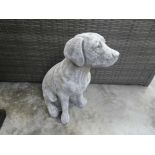 Concrete Labrador