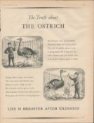 Original 1957 Guinness Print _Truth about the Ostrich' G.E. 2787