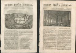 2 Antique Editions 1832 Dublin Penny Journal-23