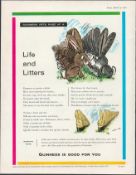 Original 1960 Guinness Print __Life & Litters' G.E. 3384.A