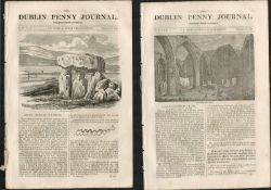 2 Antique Editions 1832 Dublin Penny Journal -25