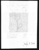 PITCAIRN ISLANDS 1973 Flowers and fruits set: original layout design rough for a Mountain apple...