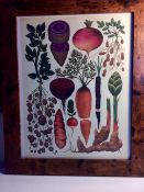 Framed Vintage Botanical Botanic Art Prints