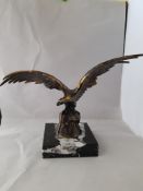 Eagle on Marble base