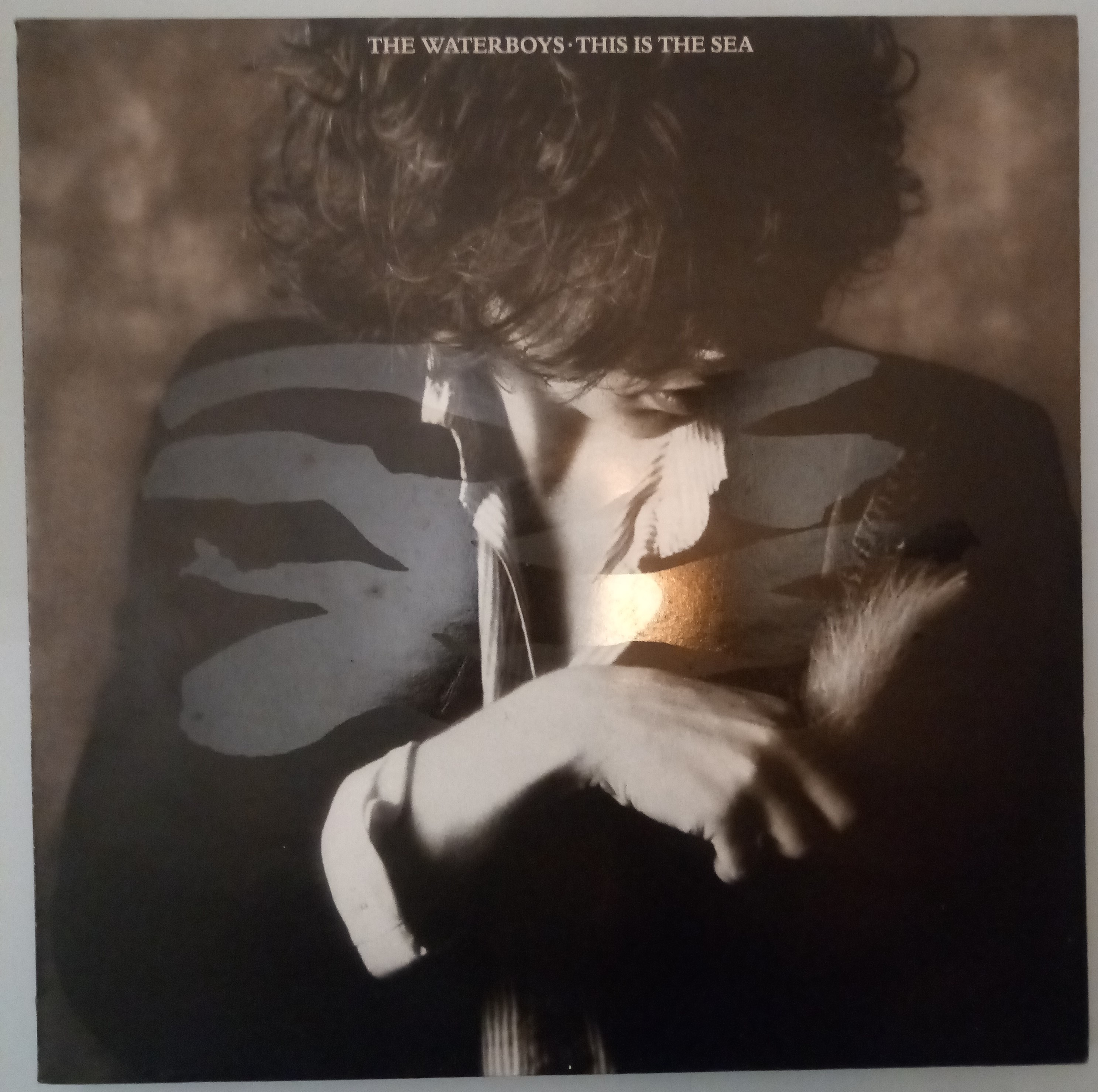 The Waterboys - This Is The Sea - Chen 3 - Excellent Condition. (P) - Image 2 of 7