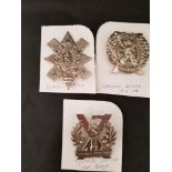 A Collection of Scottish Military Badges