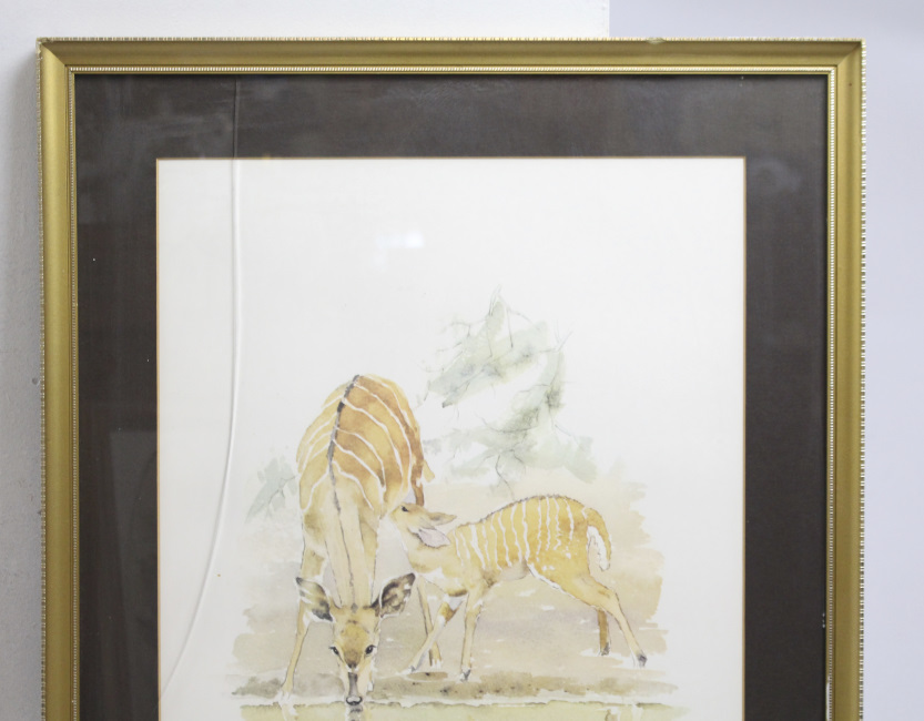 Patricia Wiles Limited Edition Animal Print Set in Frame - Image 2 of 4