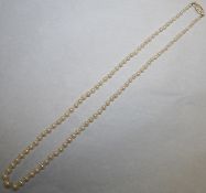 Graduated Pearl Necklace with Gold Clasp