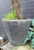 Black Planter Pot