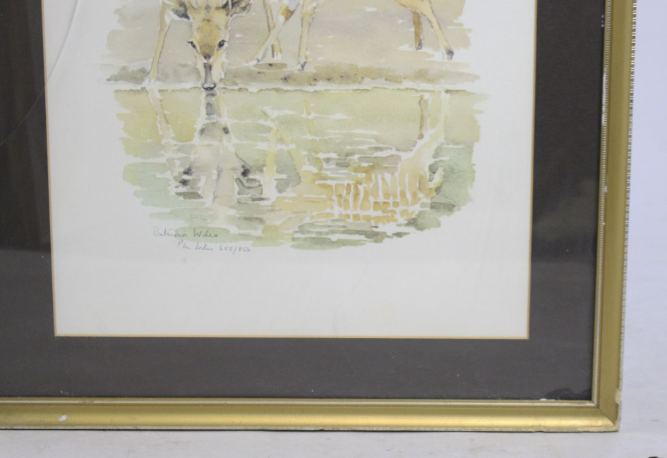 Patricia Wiles Limited Edition Animal Print Set in Frame - Image 3 of 4