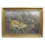 Leopards 20th c. Oil on Canvas Set in Gilt Frame