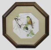 Bird Print Set in Octagonal Frame