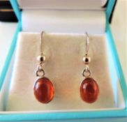 Sterling Silver Amber Drop Earrings with Gift Pouch