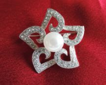 Crystal & Pearl Brooch with Gift Pouch