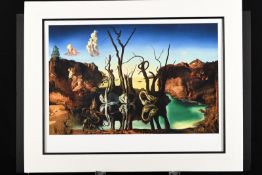 Salvador Dali Rare Limited Edition