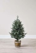 (P19) 3.5ft Pre-lit Barrel Potted Christmas Tree (Battery Operated). SKU: 568880