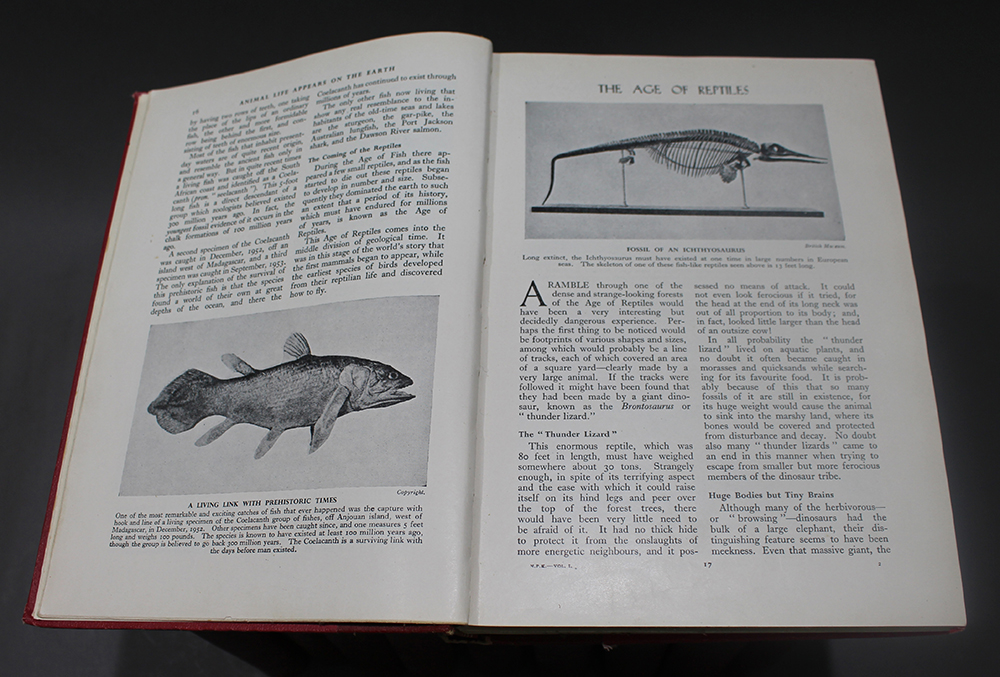 Newnes Pictorial Knowledge 10 Volumes - Image 6 of 6