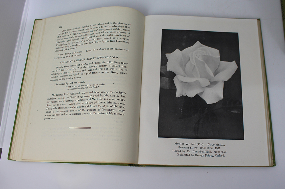 The Rose Annual 7 Volumes National Rose Society 1922-34 - Image 5 of 9