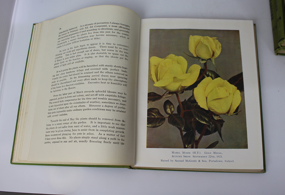 The Rose Annual 7 Volumes National Rose Society 1922-34 - Image 4 of 9