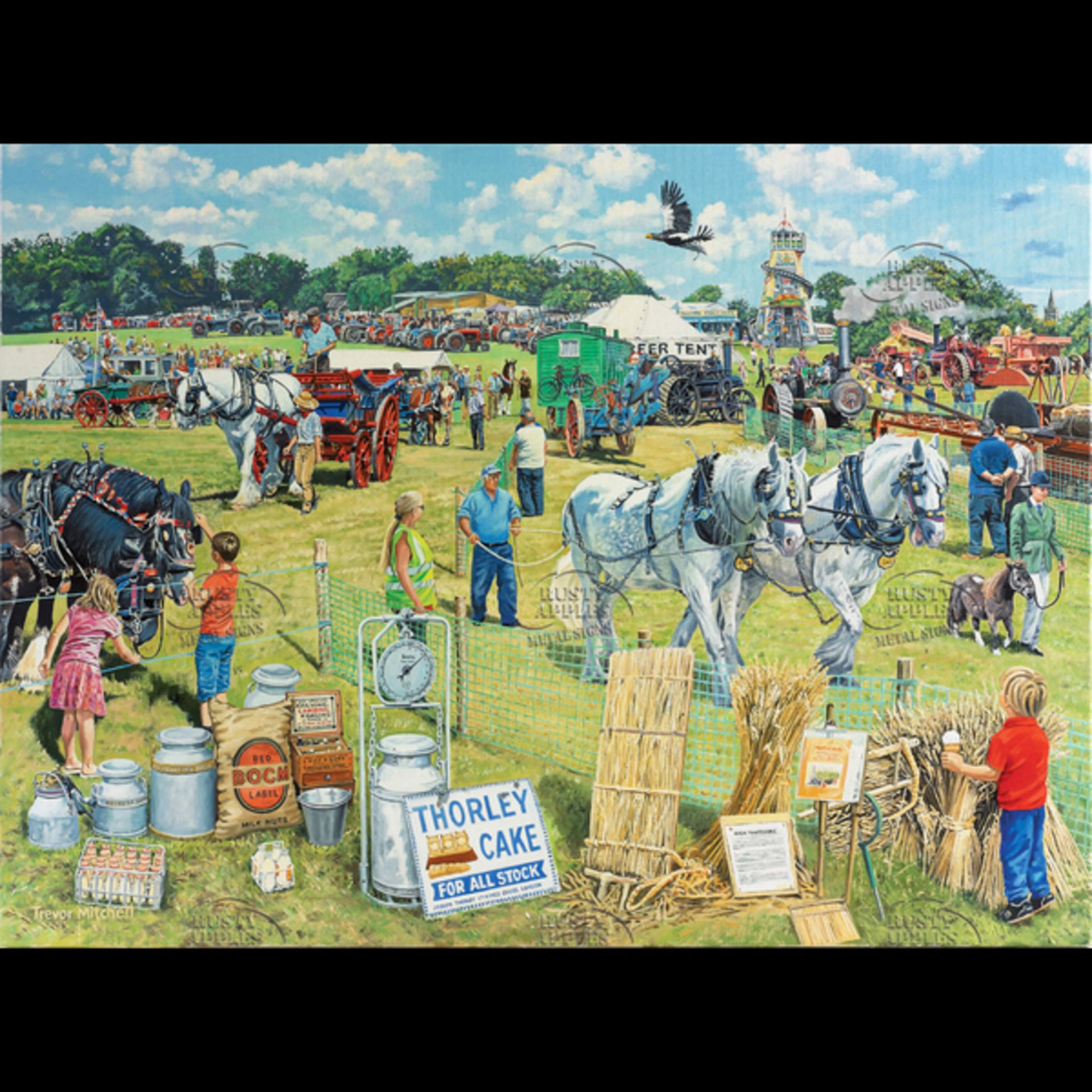 The County Show Village Event Metal Wall Art